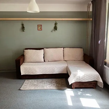 Koka Majina Ar Darzu Blakus Lielupei *